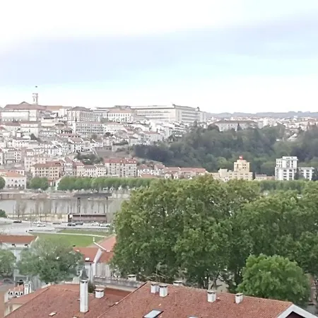 Coimbra's Gray & White *