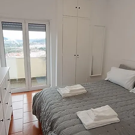 Daire Coimbra's Gray & White *