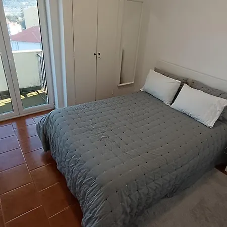 Coimbra's Gray & White Coimbra