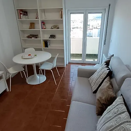 Coimbra's Gray & White * Coimbra