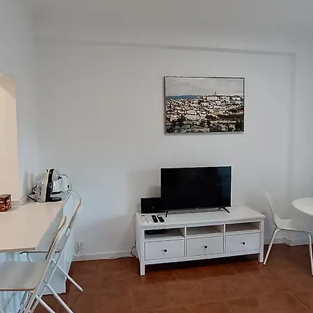 Coimbra's Gray & White * Coimbra