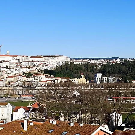 Coimbra's Gray & White *