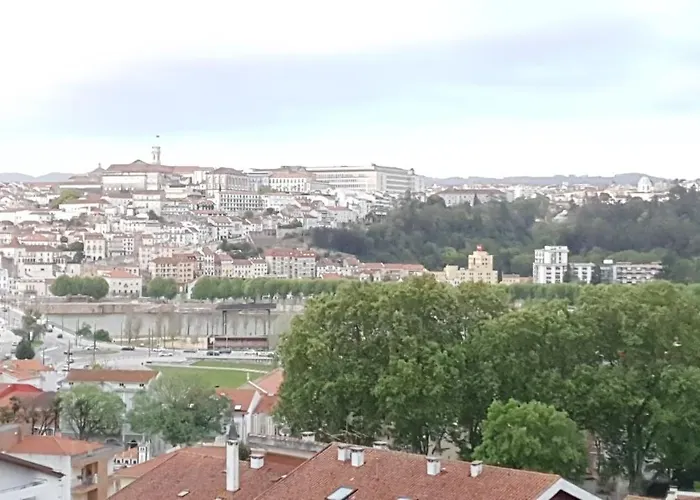 Coimbra's Gray & White *
