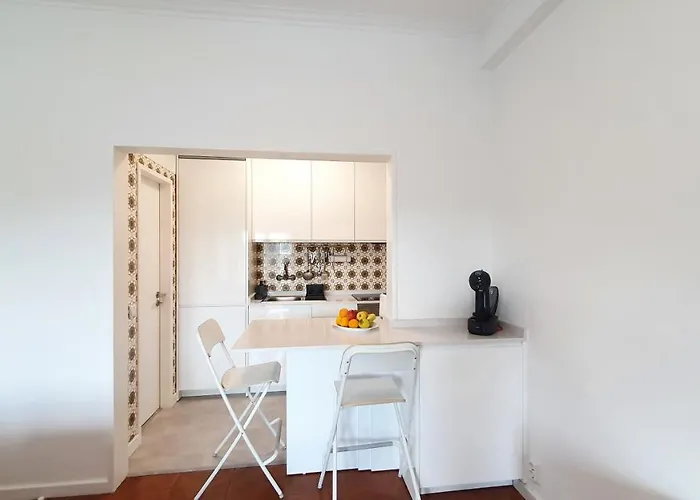 Coimbra's Gray & White * コインブラ