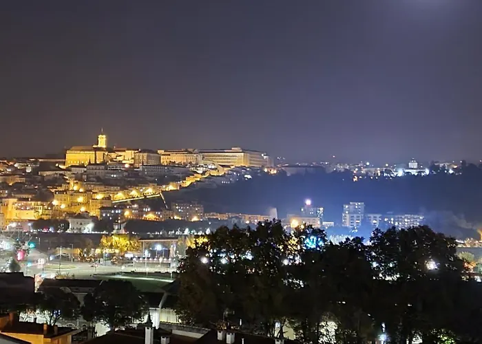 Coimbra's Gray & White *