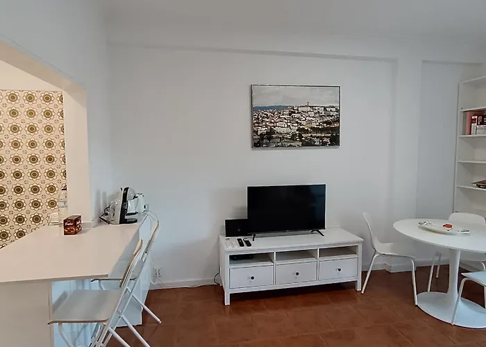 Coimbra's Gray & White * コインブラ