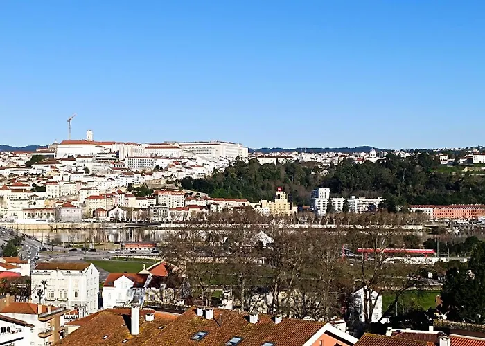 Coimbra's Gray & White *