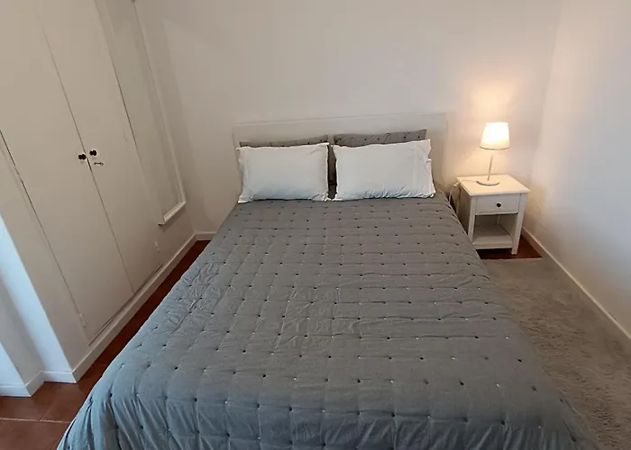 Coimbra's Gray & White *