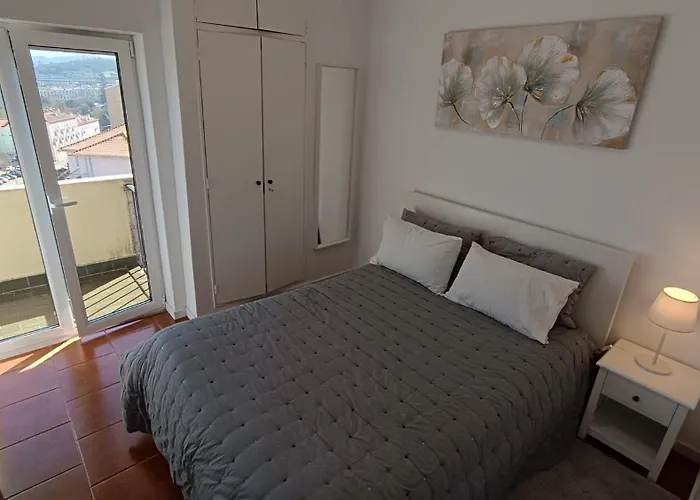 Coimbra's Gray & White Coimbra